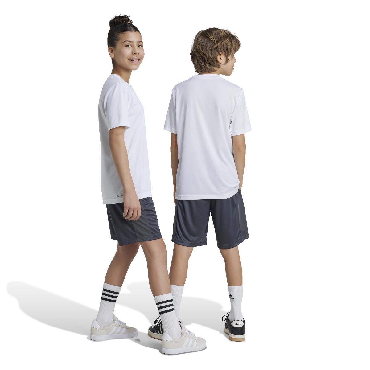 product/a/d/adidas_iw0848_8_apparel_on_model_standard_unisex_back_view_white-nw112824.jpg