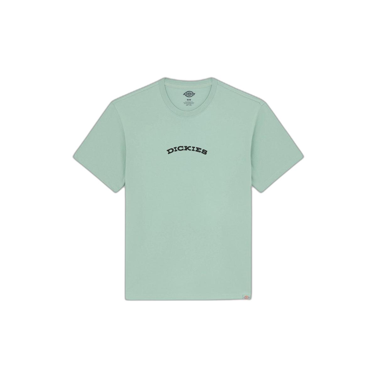 product/d/i/dickies_dk0a4z8pk361_green_1.jpg
