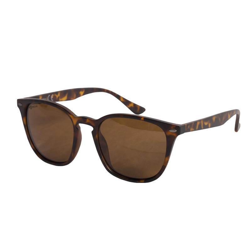 product/k/4/k4d13_-_shoreditch_matt_tortoise_shell_brown_lens.jpg