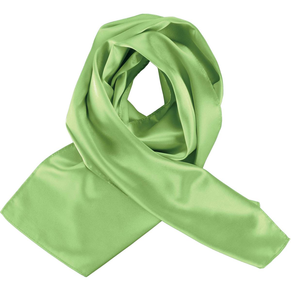 product/p/s/ps_k861_lime.jpg
