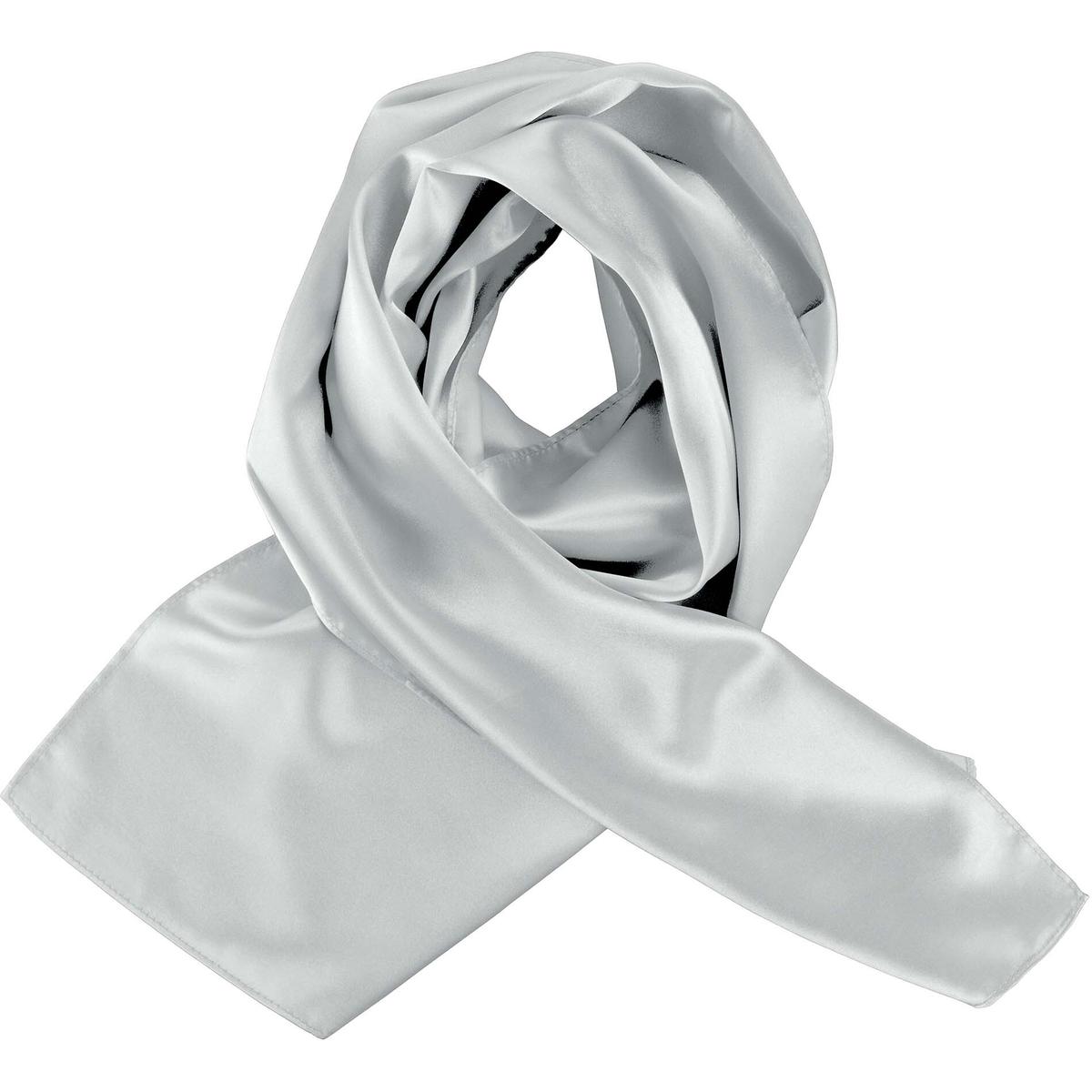 product/p/s/ps_k861_silver.jpg
