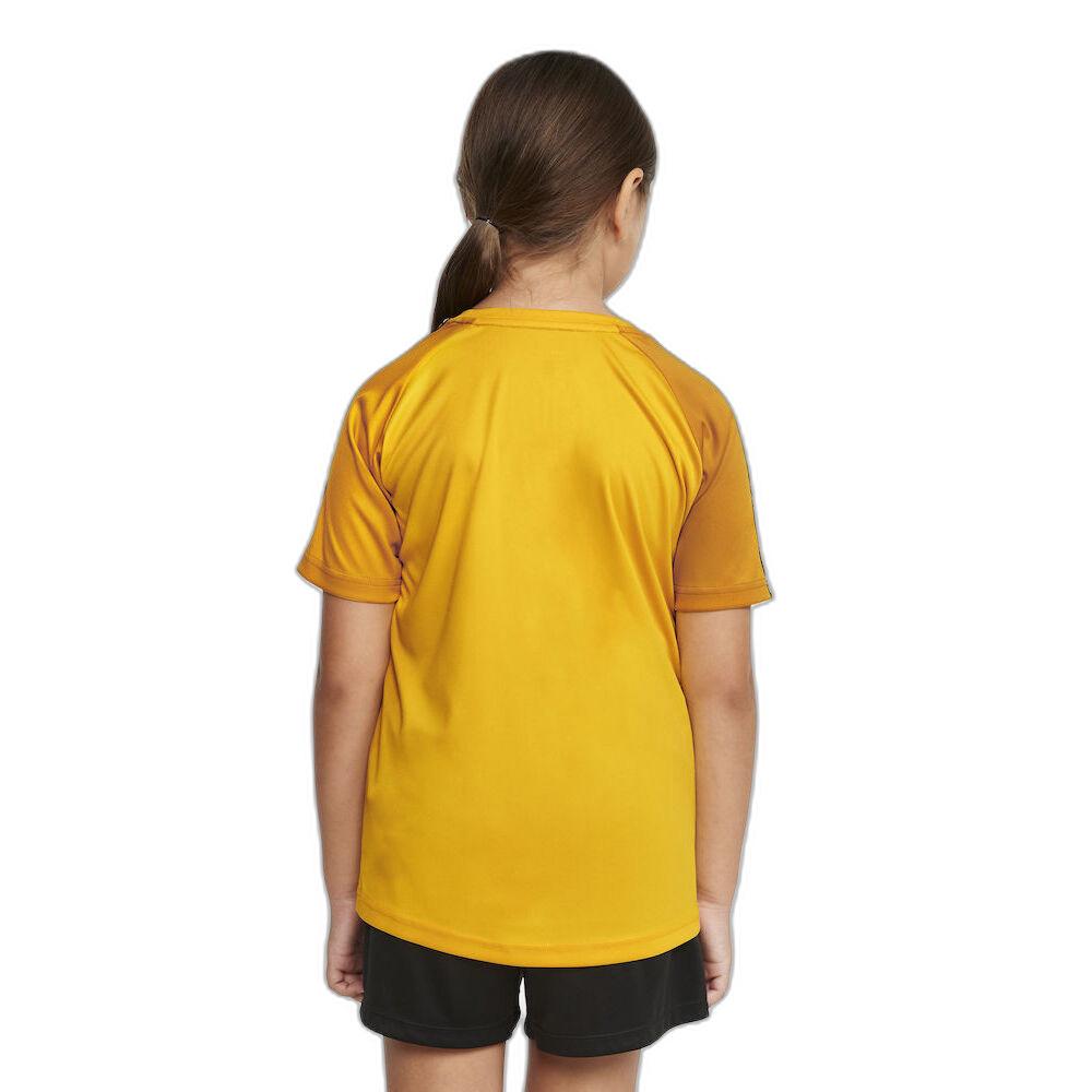 product/c/r/craft_c1912727-552511_sweden-yellow-golden_4.jpg