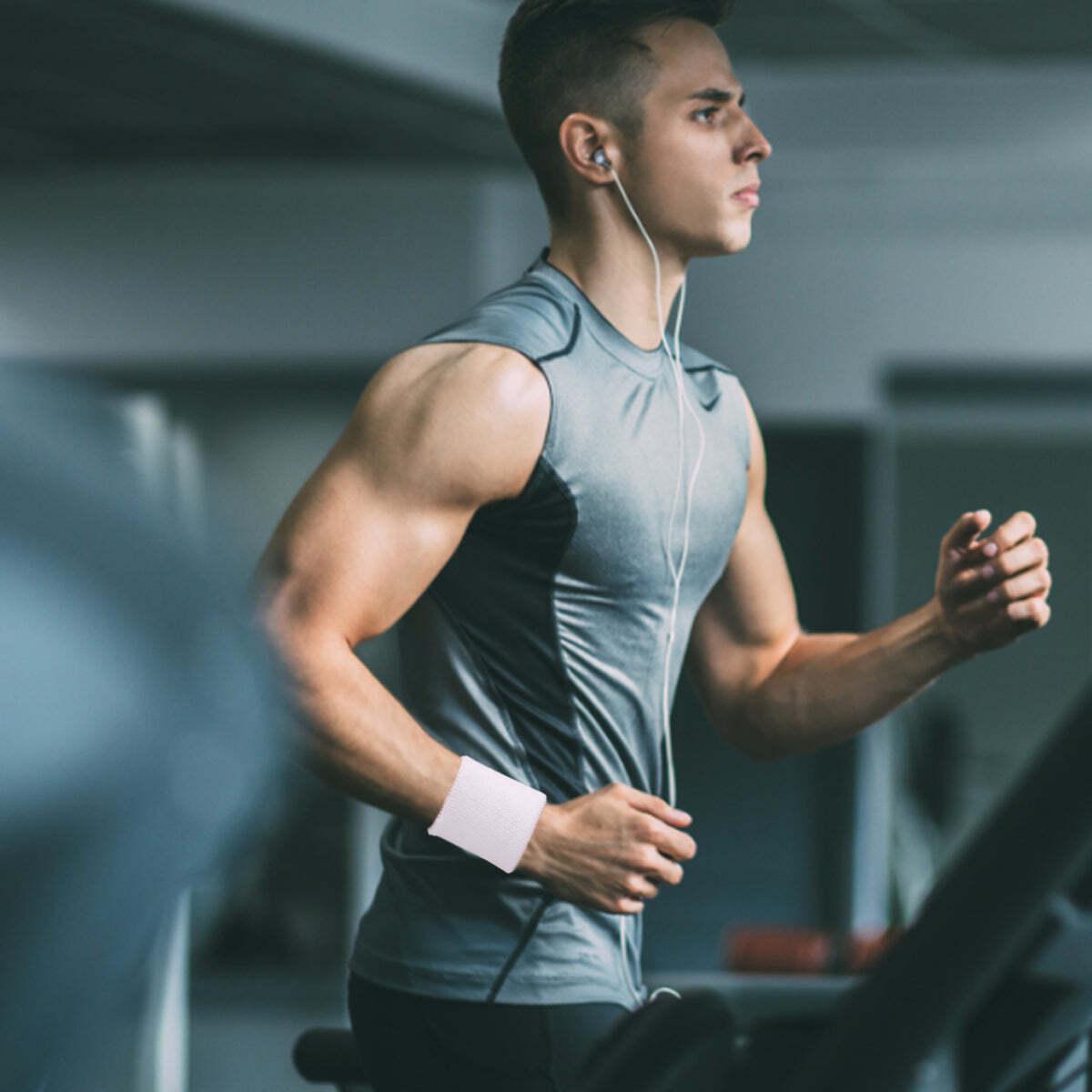 product/o/n/onamaste_fit120_4.jpg