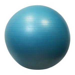 044131-gymball-sporti-65cm-violet-65-cm