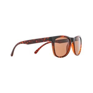 ecos-004p-lunettes-de-soleil-redbull-spect-eyewear-brown-54-19-145-mm
