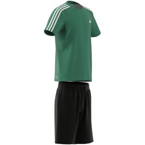 product/a/d/adidas_ic5671_9_apparel_zip_-_turntable_3d-2_white.jpg