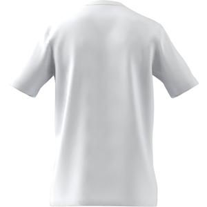 product/a/d/adidas_ic9286_9_apparel_zip_-_turntable_3d-5_white.jpg