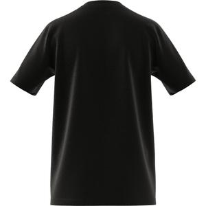 product/a/d/adidas_ic9334_11_apparel_zip_-_turntable_3d-5_white.jpg