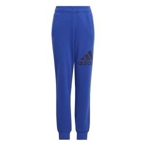 ij6301-pantalon-d-entrainement-enfant-adidas-essentials-big-logo-selubl-legink