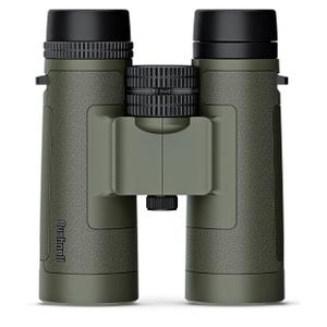 flbr3842-jumelles-bushnell-banner-r3-8x42-vert-8x42-cm