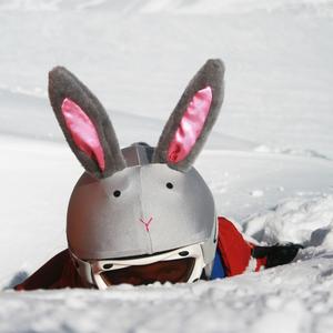 product/c/o/coolcasc_ccbun_gris_3.jpg