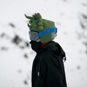 product/c/o/coolcasc_cctct_triceratops_2.jpg