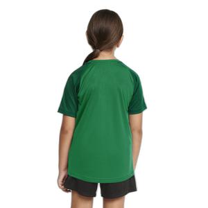 product/c/r/craft_c1912727-651633_team-green-ivy_4.jpg