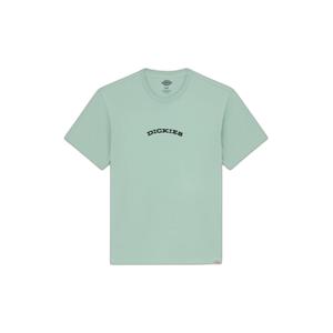 dk0a4z8pk361-t-shirt-dickies-green