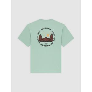 product/d/i/dickies_dk0a4z8pk361_green_2.jpg