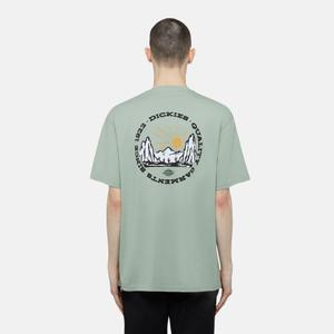 product/d/i/dickies_dk0a4z8pk361_green_3.jpg