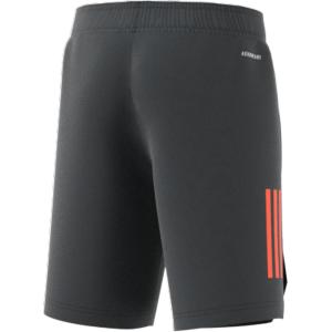product/g/m/gm8489_app_virtual_back_white.jpg