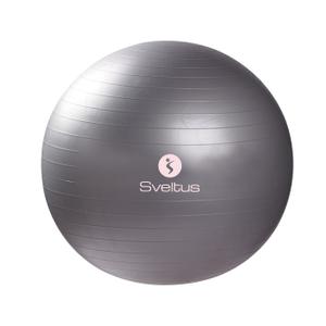 product/g/y/gymball-65cm-gris.jpg