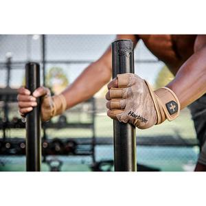 product/h/a/harbinger_22287_4.jpg