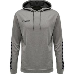 204930-2006-sweatshirt-a-capuche-hummel-hmlauthentic-poly-gris