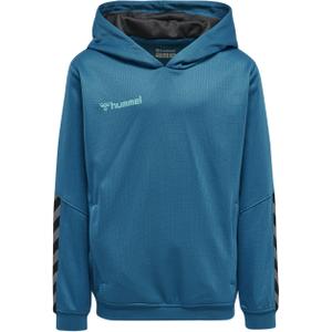 204931-8745-sweatshirt-a-capuche-enfant-hummel-hmlauthentic-poly-bleu