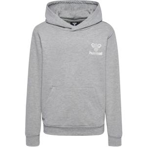 214140-2006-sweatshirt-a-capuche-enfant-hummel-proud-grey
