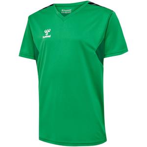 219965-6235-maillot-jersey-enfant-hummel-authentic-green