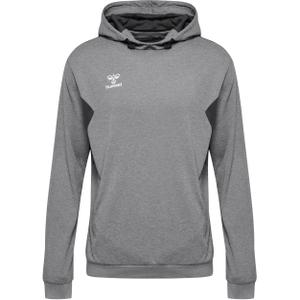 219976-2006-sweatshirt-a-capuche-polyester-hummel-authentic-grey-gris