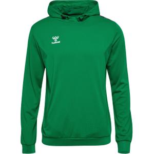 219976-6235-sweatshirt-a-capuche-polyester-hummel-authentic-green