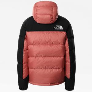 product/n/f/nf0a4r2w-ubg1_15.jpg