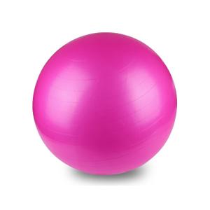 fit89-gym-ball-onamaste-rose-55-cm