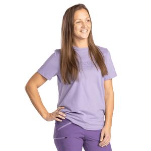 product/p/i/pinewood_1-34450-823_3.jpg