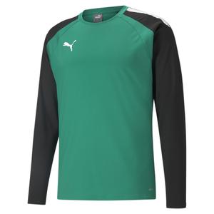 657238-05-sweatshirt-puma-teamliga-vert-sapin-noir