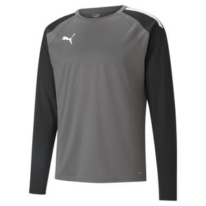 657238-13-sweatshirt-puma-teamliga-gris-blanc
