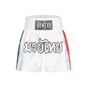 199215-7052-short-de-boxe-thai-punch-goldy-white-green-red