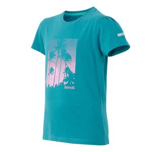 product/r/e/regatta_rkt161-c5m_exotic-plume_3.jpg